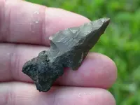 Arrowheads_Asphaltum1.webp
