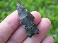 Arrowheads_Asphaltum3.webp