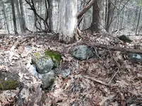 Foundation (1).webp