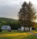20210530_201831.webp