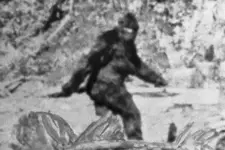 105951036-1559761167164bigfoot.webp