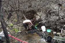 DSCF1610.webp