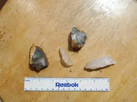 DSCN0001.webp