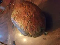 20210616_124755.webp