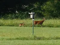 Mama & baby.webp