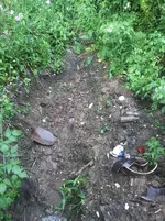 20210526_183116.webp 20210526_183116.webp
