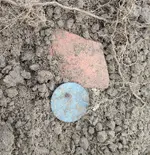 Tombac in dirt.webp