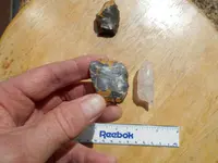 DSCN0020.webp