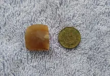 Gunflint and Penny2 .webp