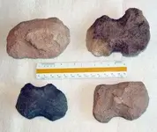 Fig-10-300x254.webp