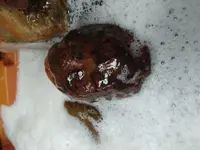 20210403_121954.webp