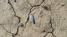 20210327_102051.webp