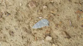 20210327_111618.webp