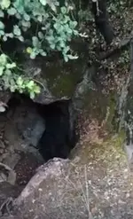 TTYTYT.webp