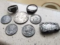 8 Vanquish silvers (2).webp