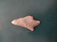 IMG_20210406_140655175.webp