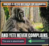 bigfoot yeti.webp
