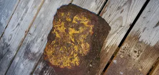 20210318_191425.webp