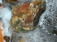 20210419_004530.webp
