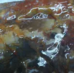 20210419_004950.webp