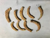 horseshoes.webp