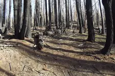DSCF1606.webp