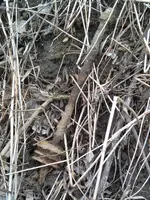 20210407_163739.webp