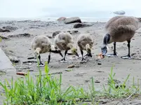 DSCN1337 (2).webp