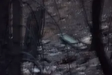 DSCF1605.webp