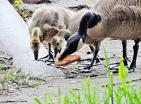K1600_DSCN1338.webp