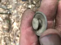 button 2 rear.webp