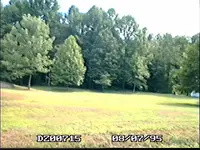 000ttt.webp