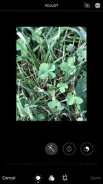 04AD1838-BE8A-408A-BD17-6A25E2F87668.webp