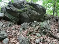 005.webp