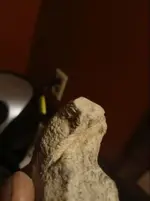 1624009402044 (3).webp