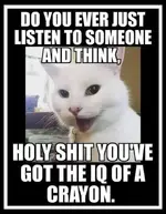 IQ.webp
