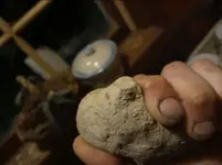 1624009212243 (3).webp