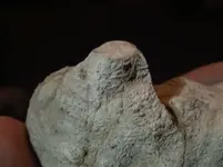 1624009112956 (3).webp