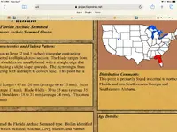 5924424F-116D-4261-9141-84B4FD0A3816.webp