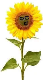 000bbb.webp
