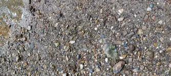 20210704_094238.webp