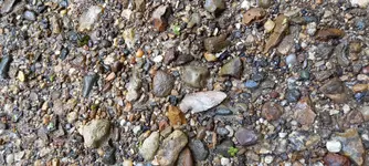20210704_094249.webp