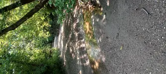 20210704_092858.webp