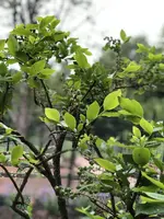 68C1FBDB-16BD-4AB7-84C1-E1BE20C4267E.webp