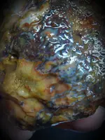 20210418_163031.webp
