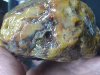 20210418_162719.webp