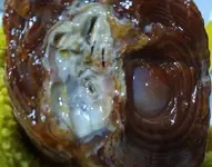 20210403_235104.webp