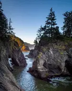 coast buety.webp