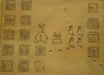 BCODEX 10.webp