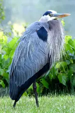 DSCN0986.webp